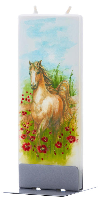 Horse In Poppy Field