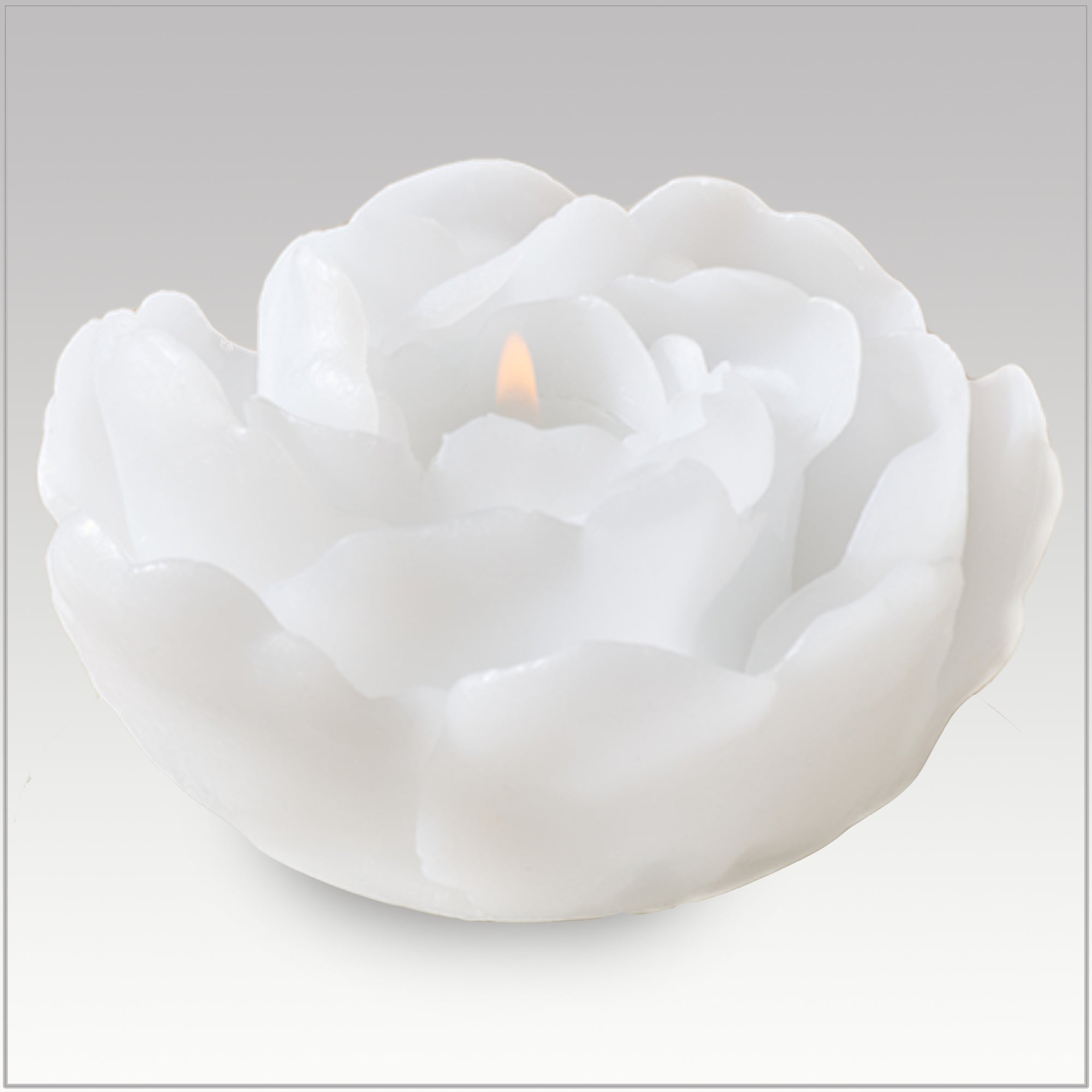 Fliorus white candle without coaster